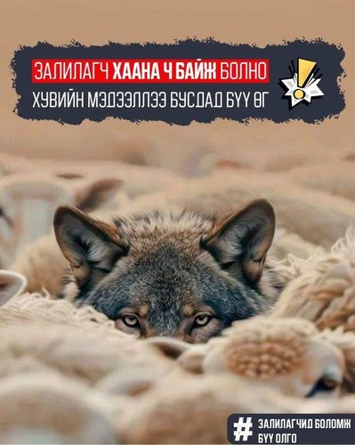 Он гарсаар залилах төрлийн гэмт хэрэг 8827 бүртгэгдээд байна